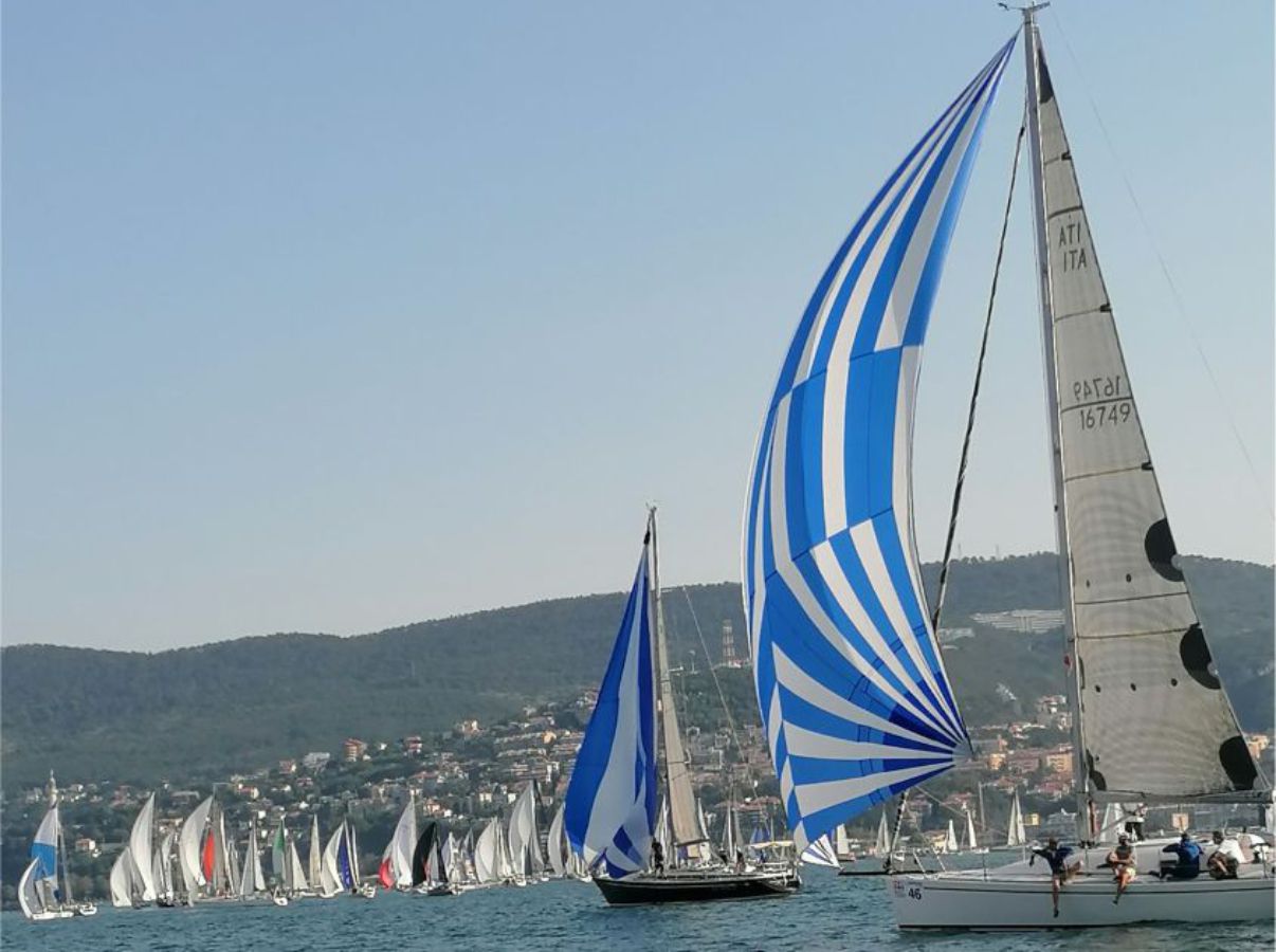 sailboats with sails at sea, hill with houses and trees in the background